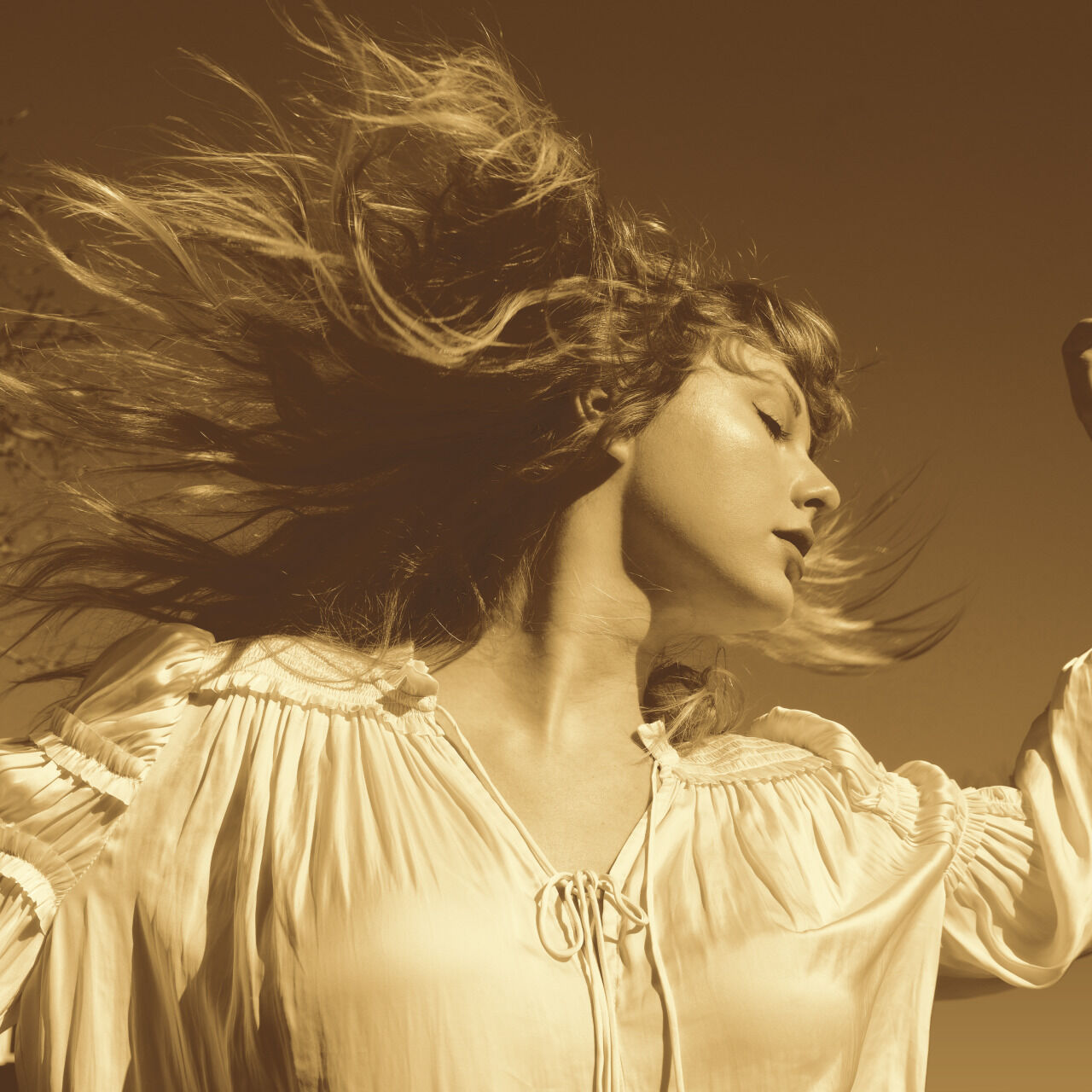 Taylor Swift "Fearless"